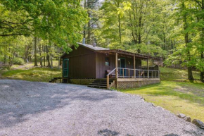 Cozy Green Bank Cabin about 2 Mi to Observatory!